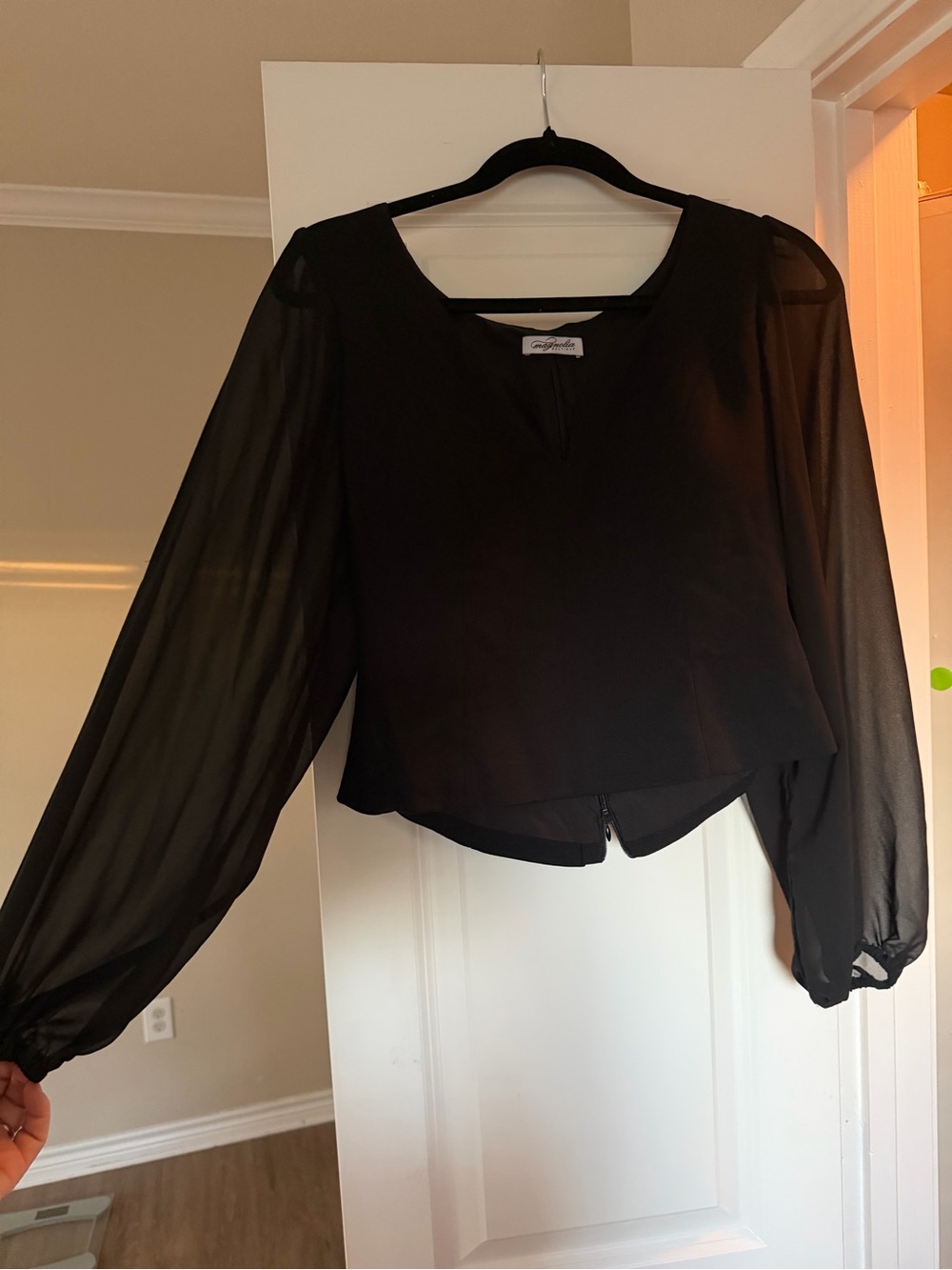 Women's Black Sheer Long-Sleeve V-Neck Blouse